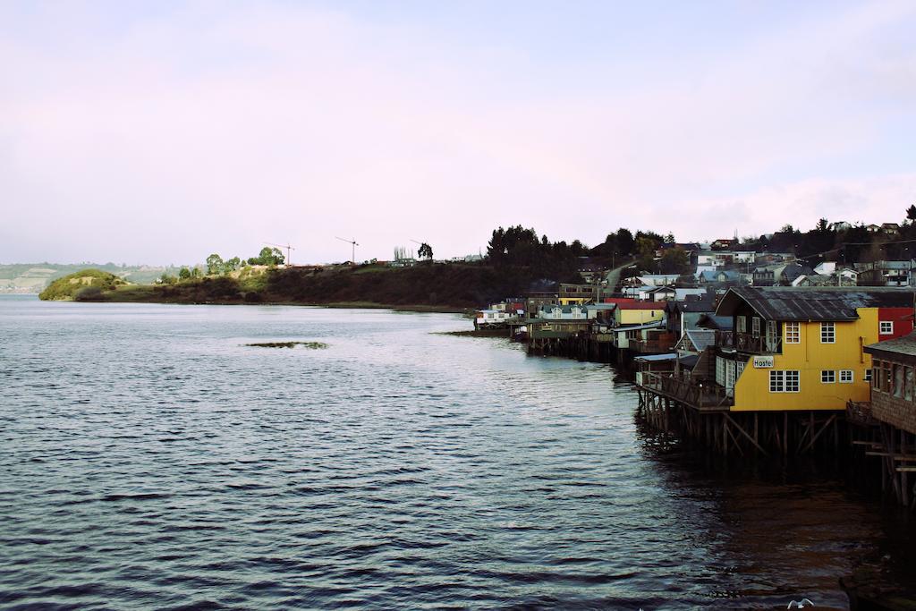 Palafito Hostel Chiloe Castro Chambre photo